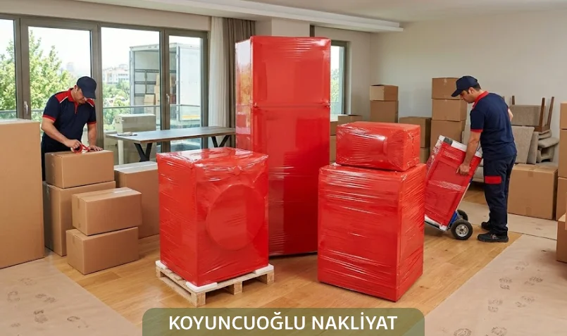 evden eve nakliyat